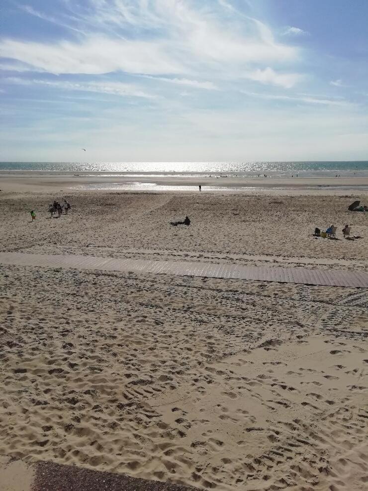 T3 Rez-De-Chaussee Lumineux Avec Terrasse Proche Plage Cucq Exteriér fotografie