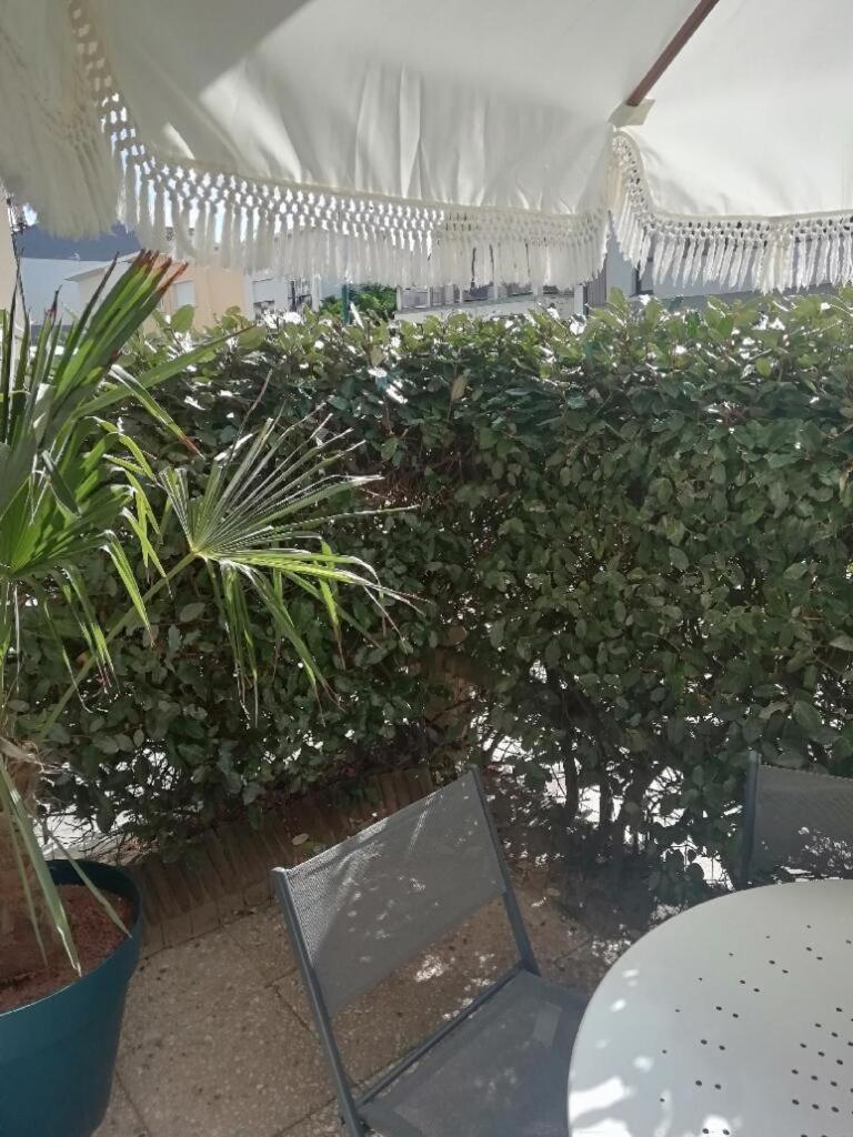 T3 Rez-De-Chaussee Lumineux Avec Terrasse Proche Plage Cucq Exteriér fotografie