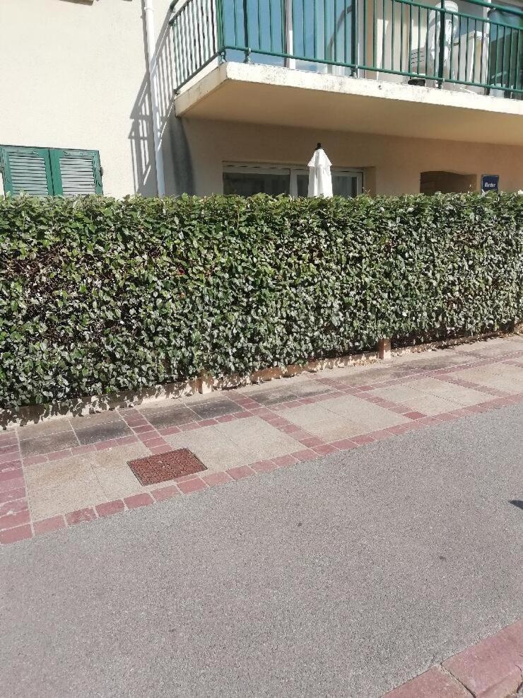 T3 Rez-De-Chaussee Lumineux Avec Terrasse Proche Plage Cucq Exteriér fotografie